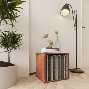 Modulus Vinyl Record Storage - 3