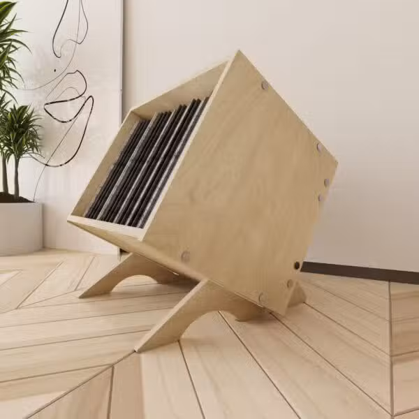 Fractal Vinyl Record Storage