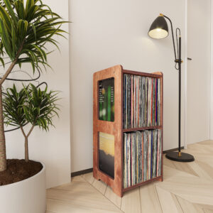 Axis Vinyl Record Storage - 5